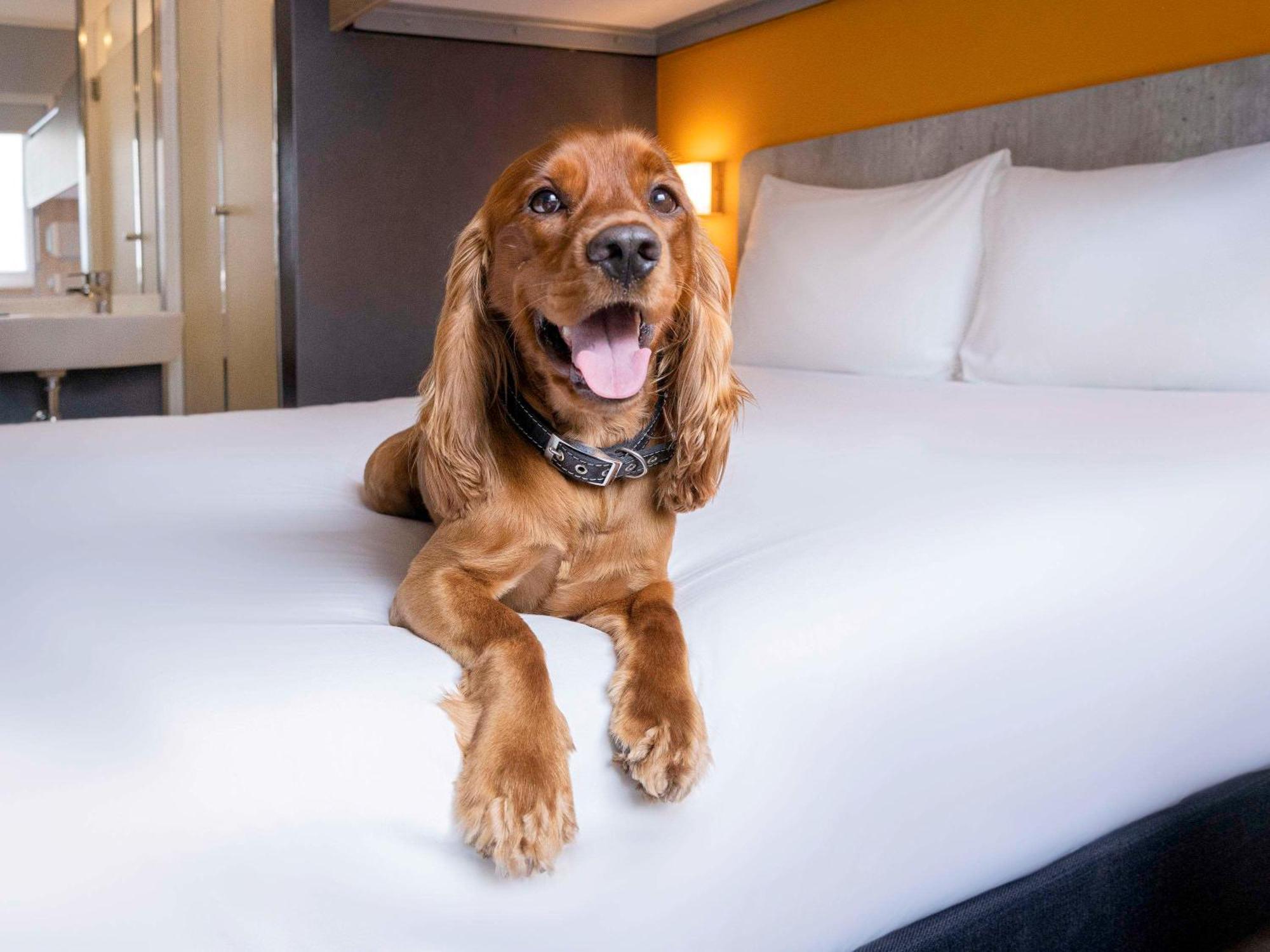 Ibis Budget Lima Miraflores 외부 사진